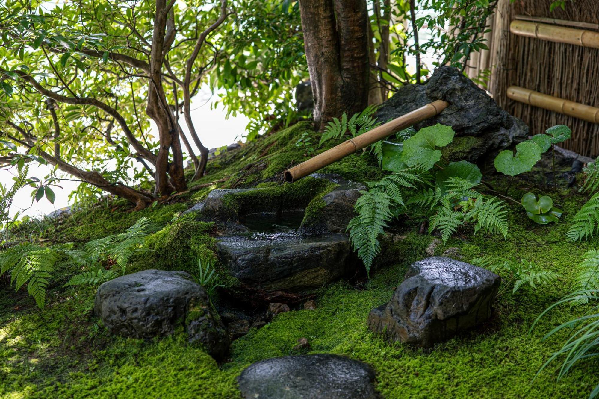 Taikyourou Hotel Miyazu Eksteriør billede